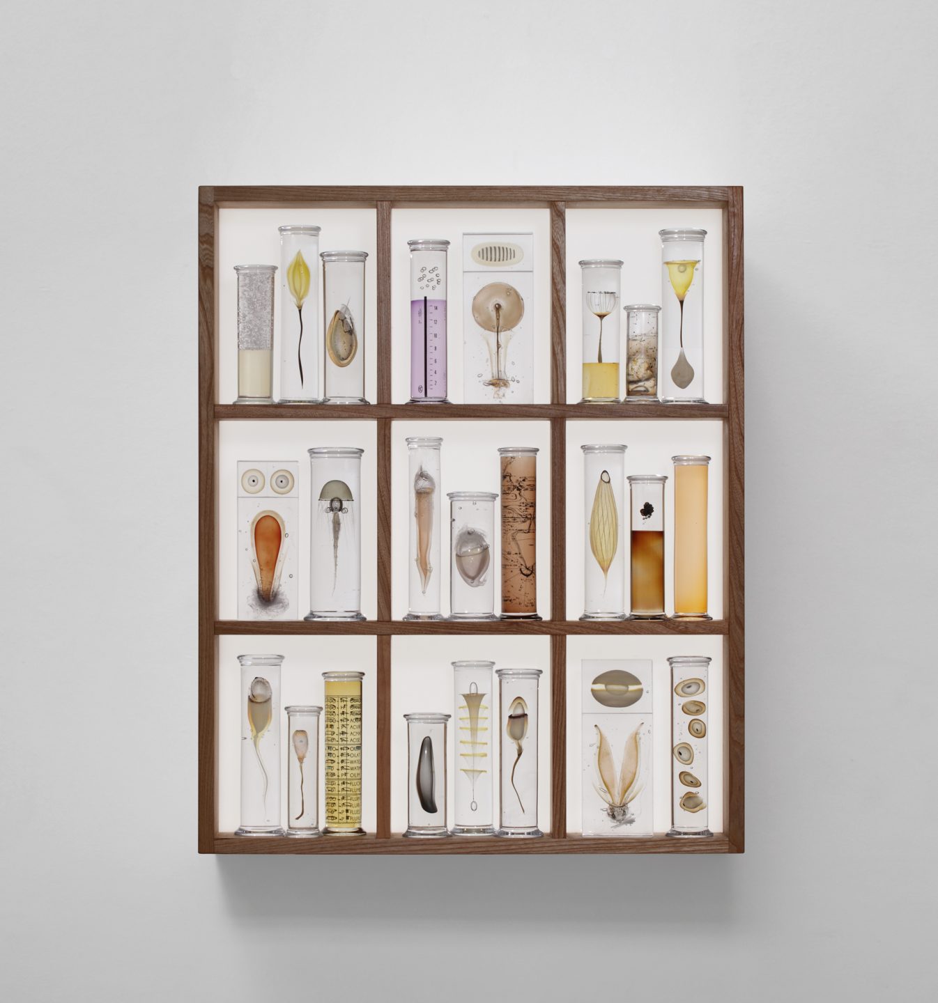 Cabinet of Curiosities. 2018  h: 85 cm.